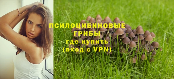 каннабис Верея